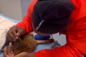 巴舒亚伊深情告别因车祸离世的爱猫：安息吧，我的儿子