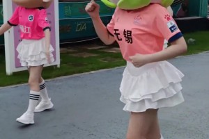 今年的苏超我暂时支持无锡