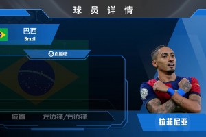 费兰球员集锦：跑位潇洒 射术一流的西班牙前锋