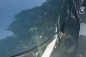 备战U23亚洲杯！王钰蒯纪闻领衔U22国足名单！